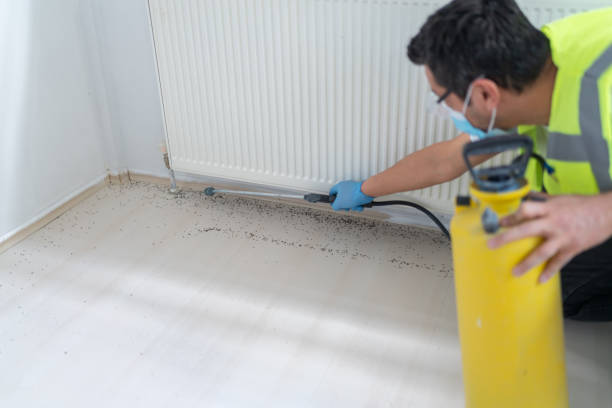Best Wasp Removal Services  in , FL