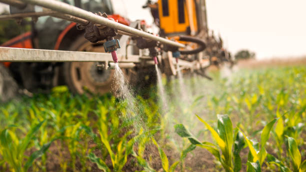 Best Commercial Pest Control Services  in , FL